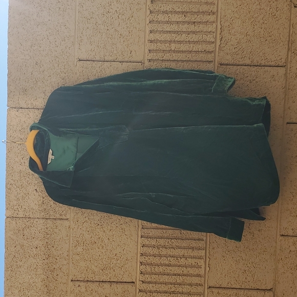 NWT John Mark Green Velvet Collared Tunic Top. - Picture 7 of 11